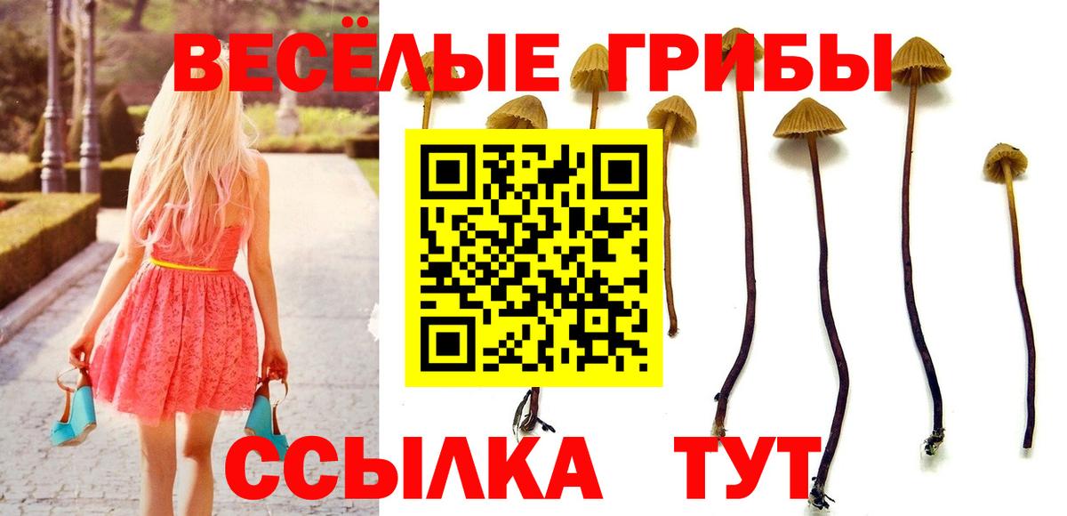 Псилоцибиновые грибы MAGIC MUSHROOMS  купить наркотик  Кимры  Вход с VPN 